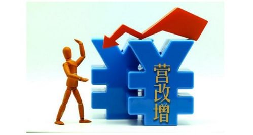 一般納稅人提供技術(shù)服務(wù) 6%稅率適用性解析