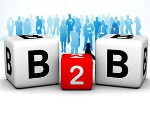 京東B2B電子銷售 為何能在阿里失手處成功？