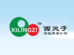 東莞市西靈子食品貿易 開啟飲料行業新商機，火爆糖酒食品招商網助力代理合作